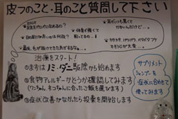 ペットの皮膚や耳には注意が必要です。